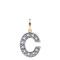 JIN022-C | 9ct Yellow Gold Cubic Zirconia Initial Pendant