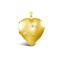 JLC100 | 9ct Yellow Gold Heart Locket
