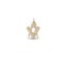 JMS003 | 9ct Yellow Gold Masonic Pendant
