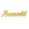 JNP013-Y-1mm | 9ct Yellow Gold Personalised Nameplate