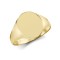 JRN134 | 9ct Yellow Gold Signet Ring