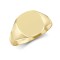 JRN136 | 9ct Yellow Gold Signet Ring