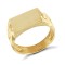 JRN154 | 9ct Yellow Gold Signet Ring