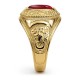 9ct Yellow Gold College Ring