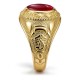 9ct Yellow Gold College Ring