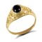 JRN345 | 9ct Yellow Gold College Ring