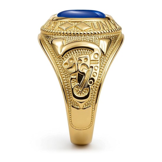 9ct Yellow Gold College Ring