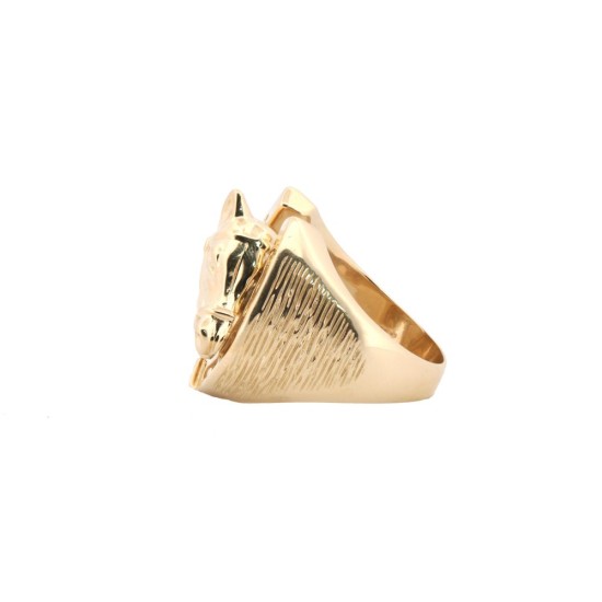 JRN592 | 9ct Yellow Gold Horse Shoe Ring