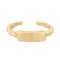 JTR027 | 9ct Yellow ID plate toe ring