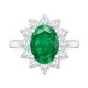 9ct White Gold 0.96ct Lab Grown Diamond & 2.00ct 9x7mm Emerald Claw Set Cluster Halo Oval Ring