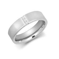 PLW068-4 | Platinum 4mm Diamond 15pts Rubover set Wedding Ring